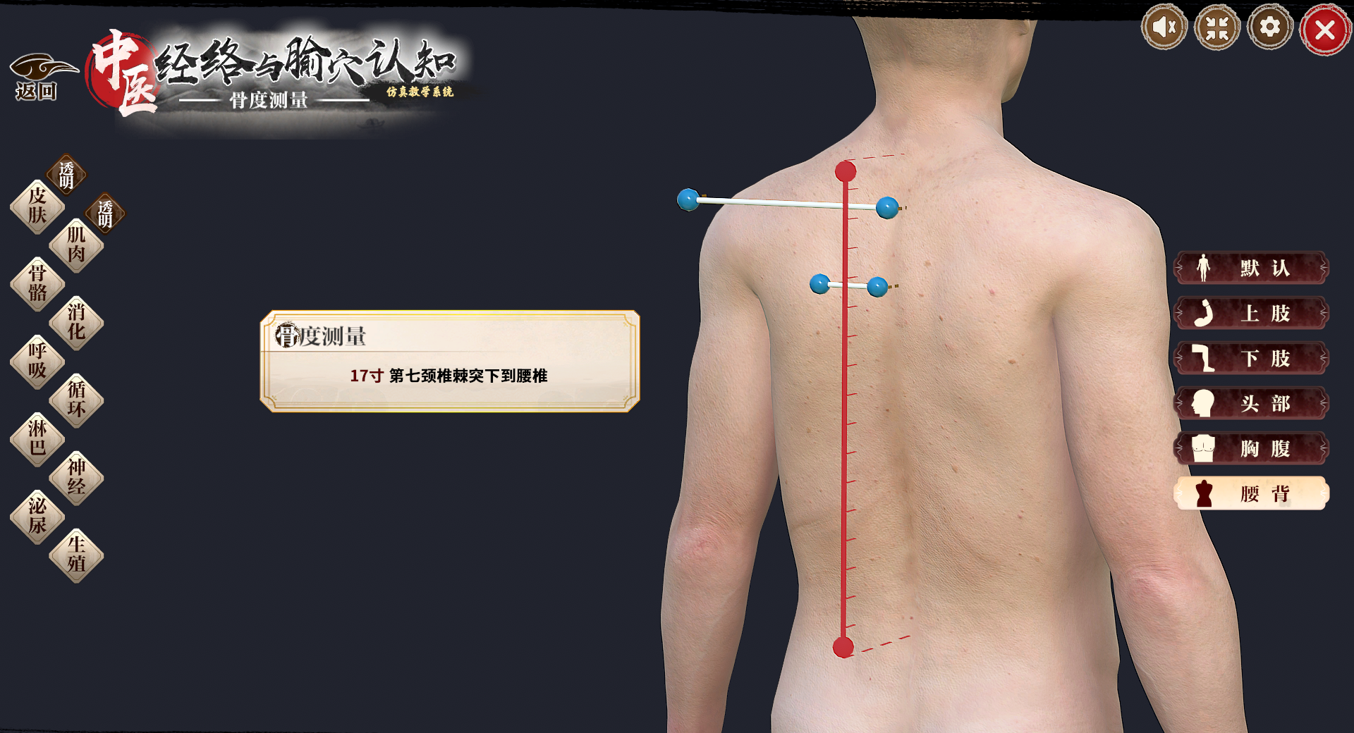 RZ302 中医经络与腧穴3D仿真教学系统