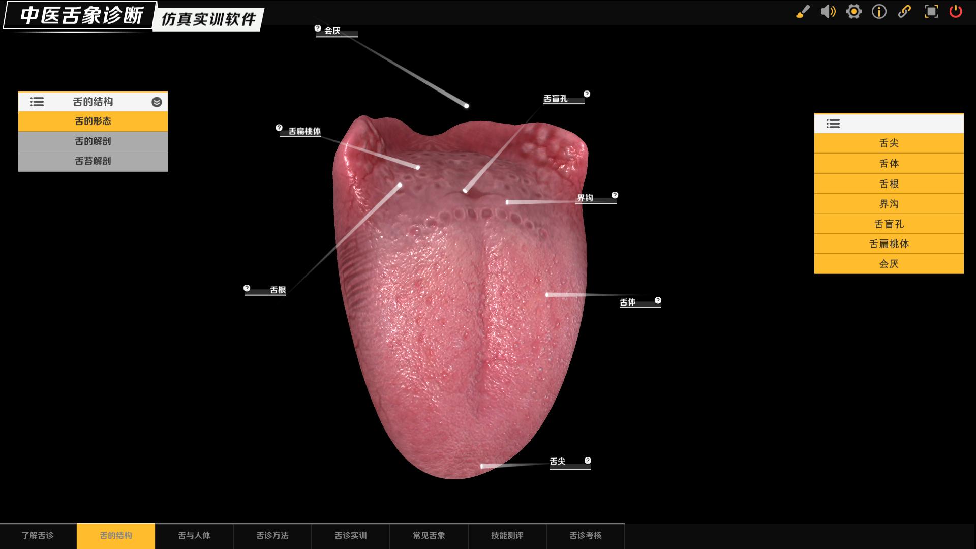RZ306 中医舌诊3D仿真教学软件