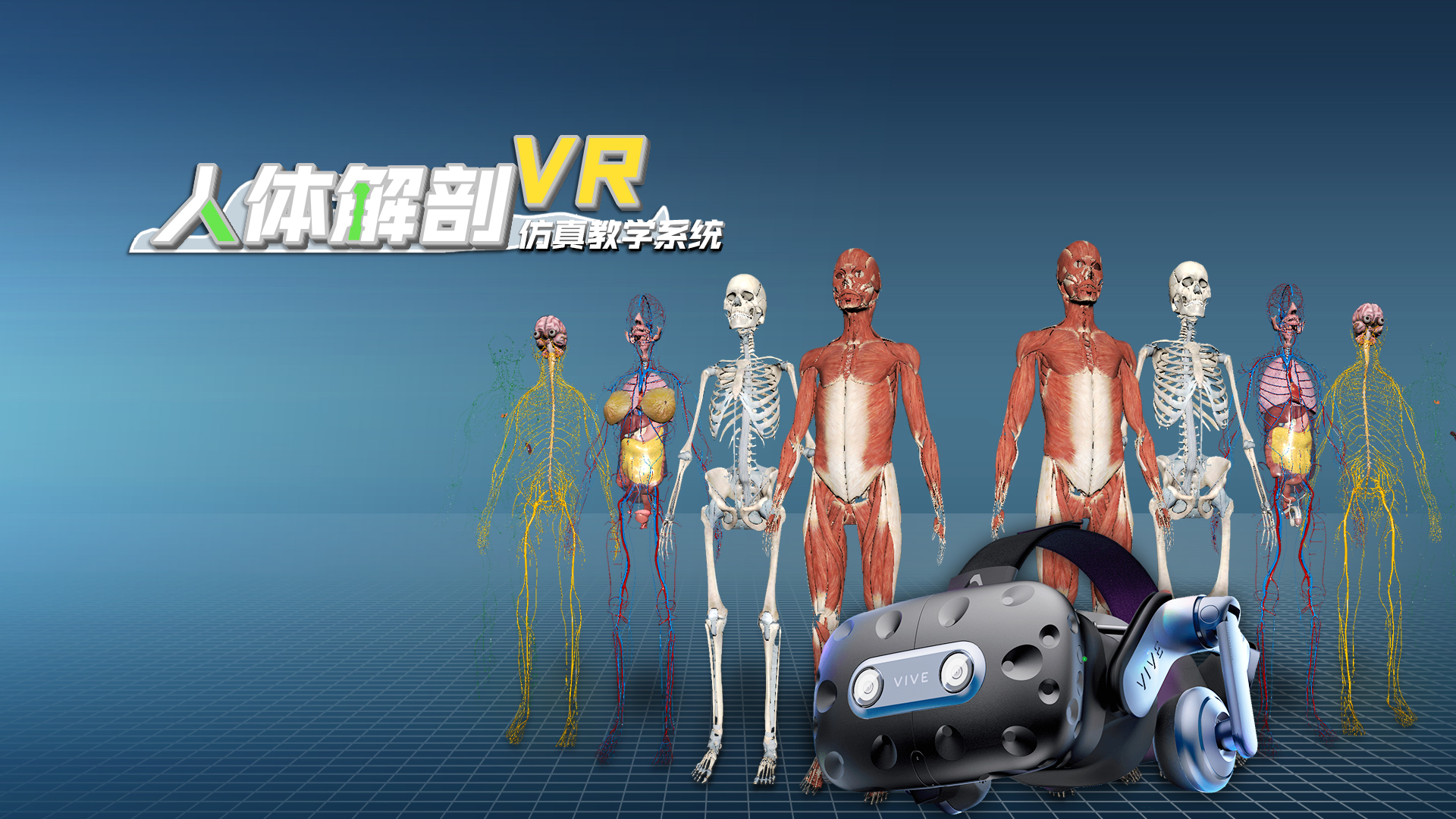 RZ101 人体解剖3D仿真教学系统